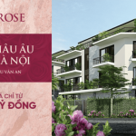 ƯƠM MẦM XANH YÊU THƯƠNG – GIỮA MIỀN SỐNG THỊNH VƯỢNG!